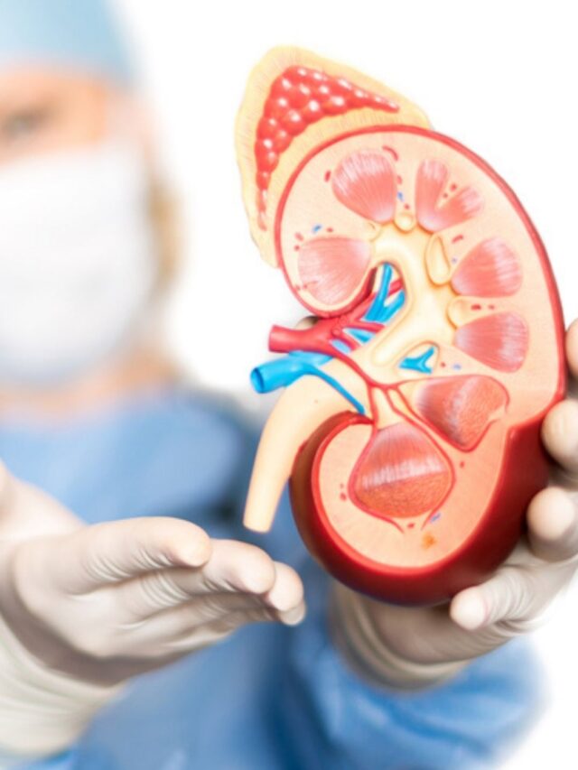 kidney