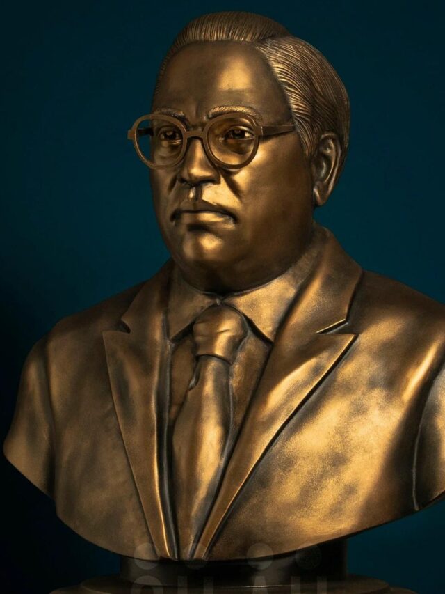 Indian constitution (1)