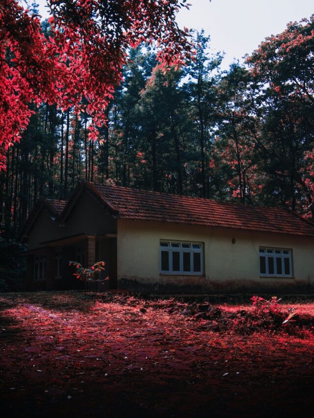 Indian constitution (14)