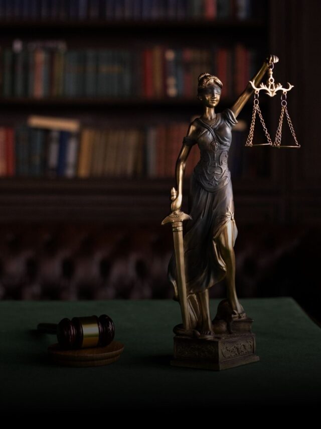 Indian constitution (22)