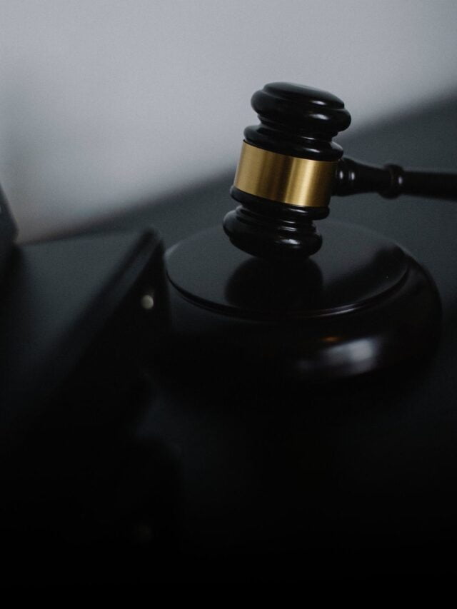 Indian constitution (32)