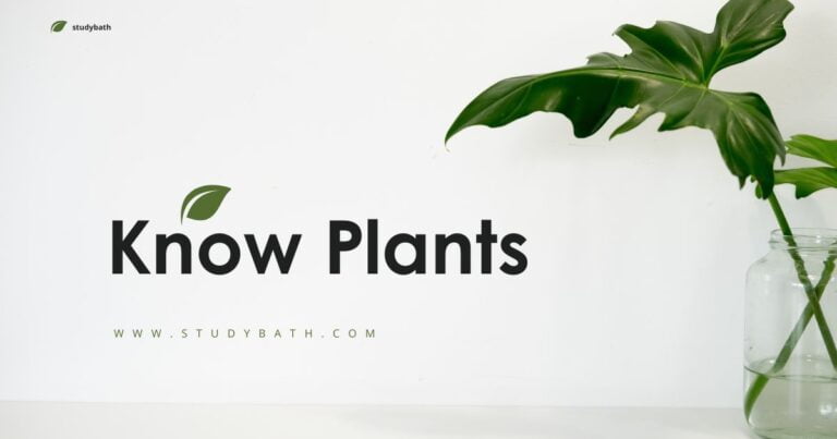 पौधों को जानिए