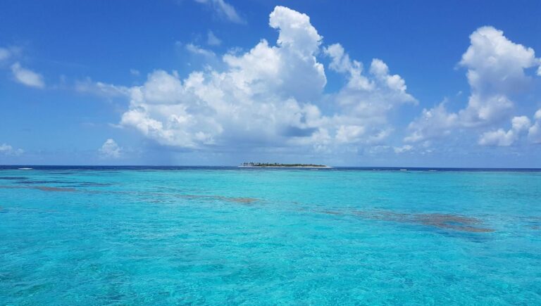 महासागर