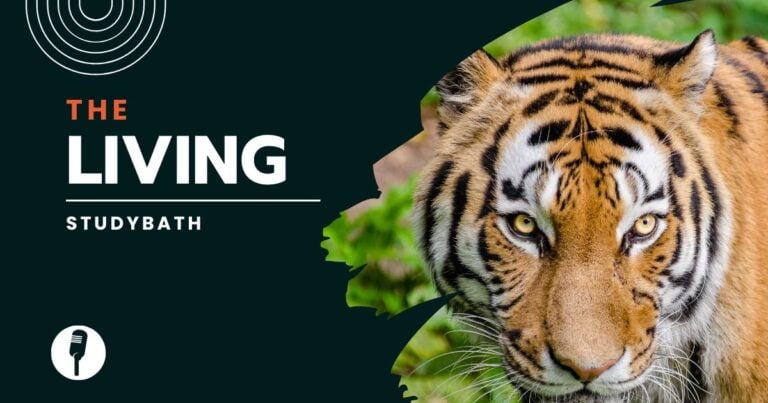 सजीव -विशेषताएँ एवं आवास