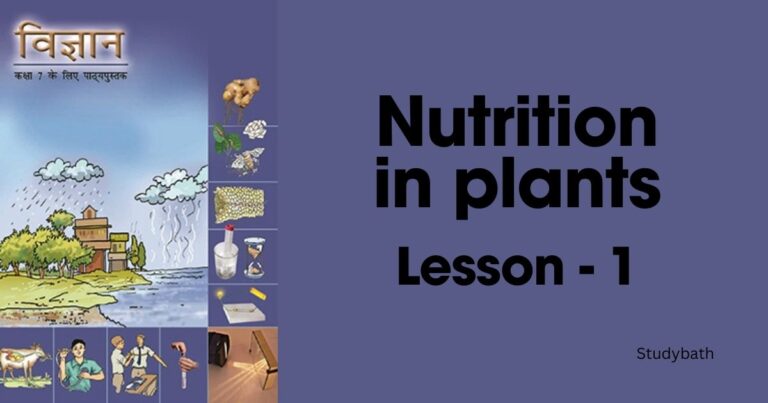 पादपों में पोषण
