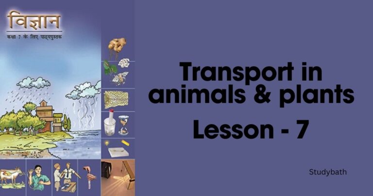 जंतुओं और पादप में परिवहन