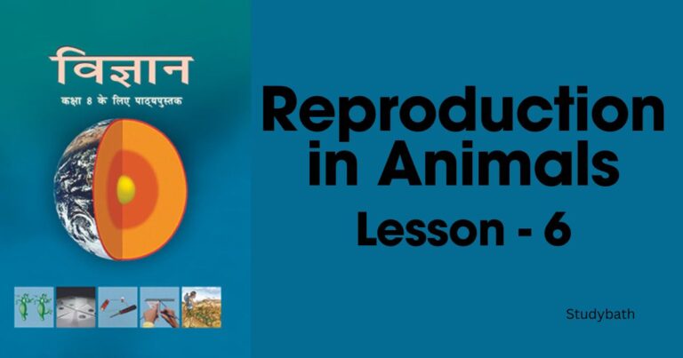 जंतुओं में जनन