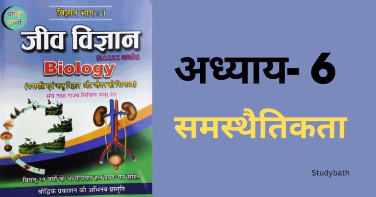 समस्थैतिकता