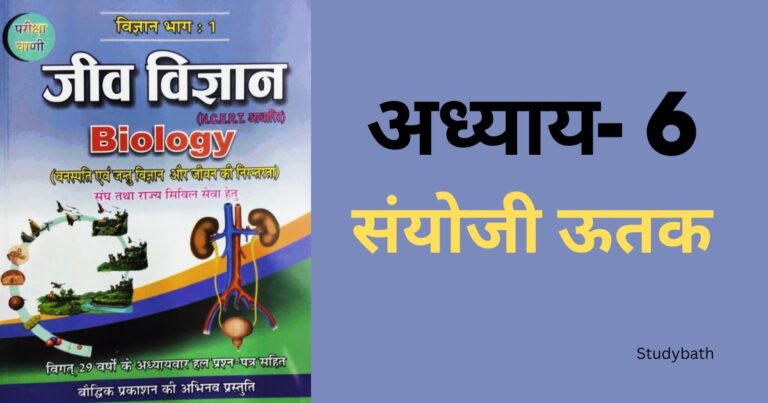 संयोजी ऊतक