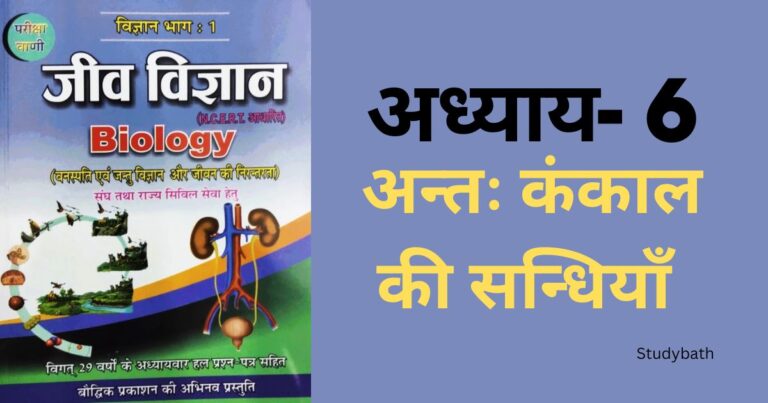 अन्तः कंकाल की सन्धियाँ