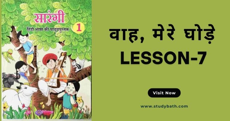 वाह, मेरे घोड़े!